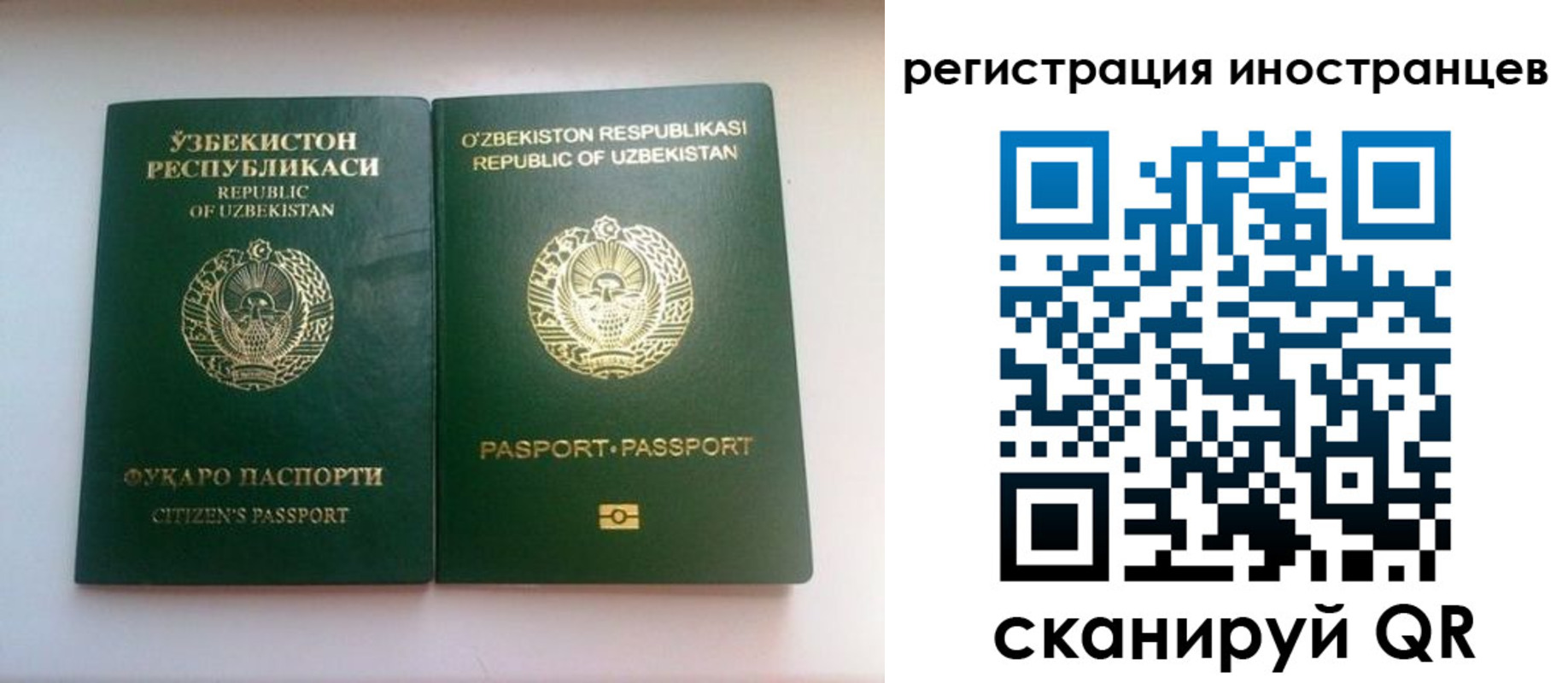 прописка 2025 в Елабуге
